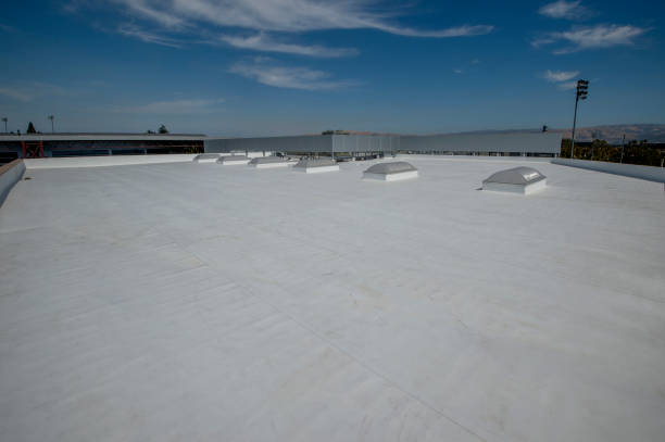 Best Solar Panel Roofing Installation  in Gifford, FL